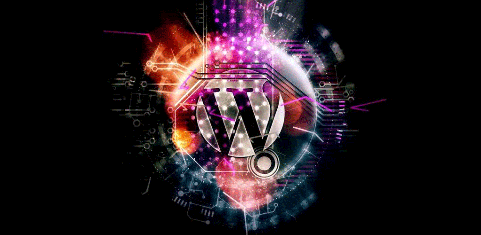 Design website Surprise Me